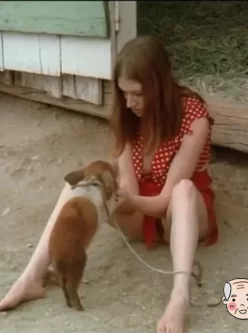 <b style='color: red;'>[已失效] </b>猪倌的女儿 The Pig Keeper's Daughter (1972)【1.33GB】【百度云】